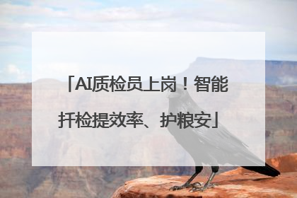 AI质检员上岗！智能扦检提效率、护粮安
