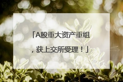 A股重大资产重组，获上交所受理！