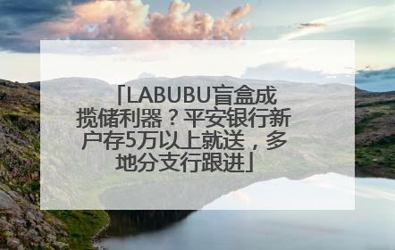 LABUBU盲盒成揽储利器？平安银行新户存5万以上就送，多地分支行跟进