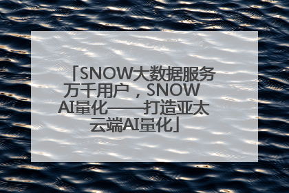 SNOW大数据服务万千用户，SNOW AI量化——打造亚太云端AI量化