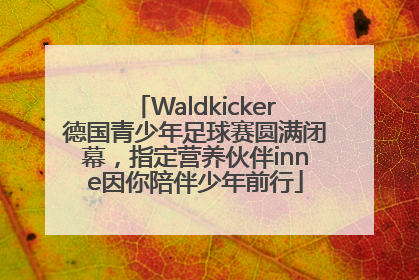 Waldkicker德国青少年足球赛圆满闭幕，指定营养伙伴inne因你陪伴少年前行
